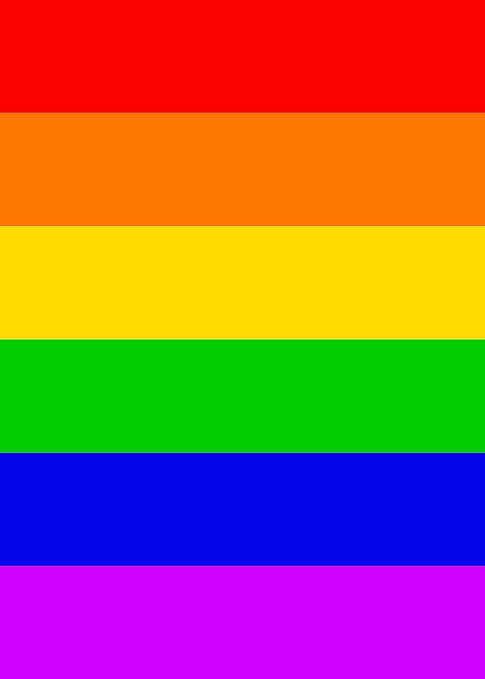 Gay Transgender Rainbow