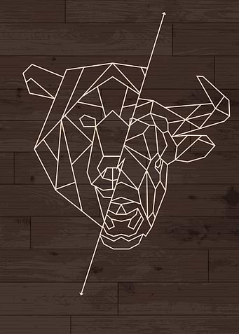 STOCK MARKET BEAR AND BULL