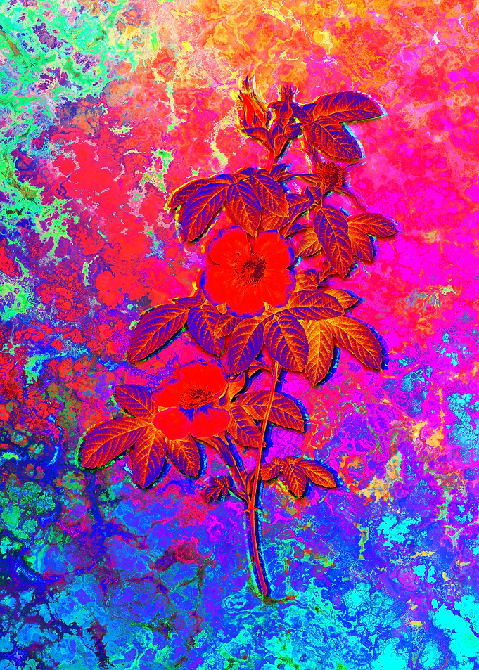 Neon Flower Illustration