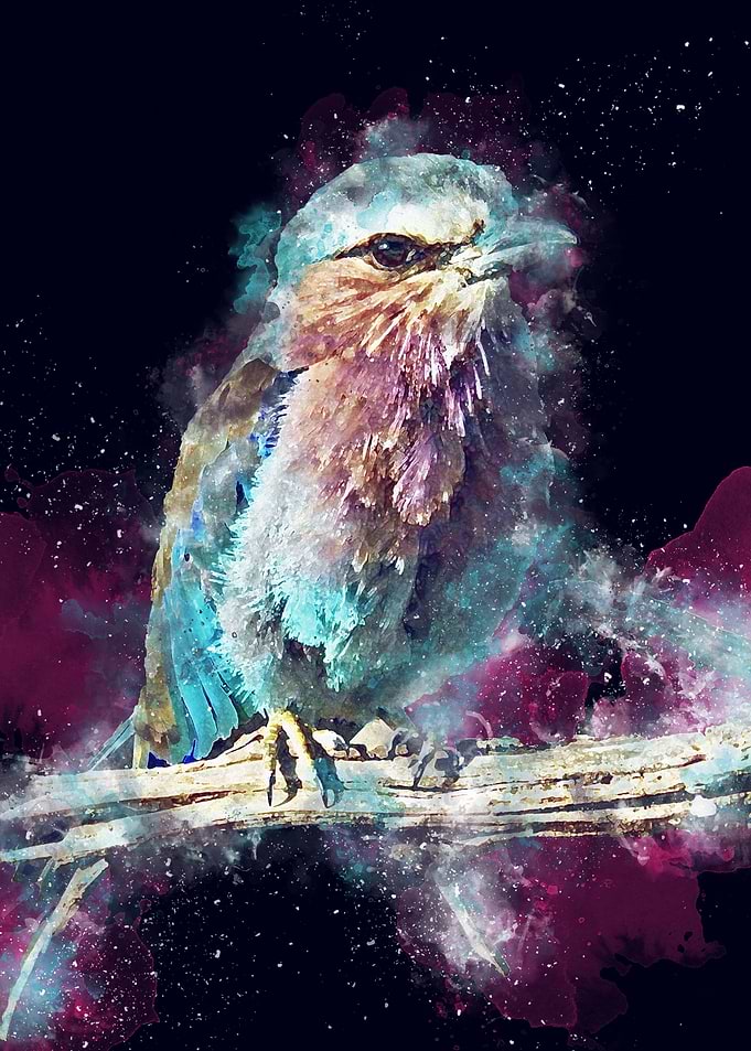 Bird Painting illustration