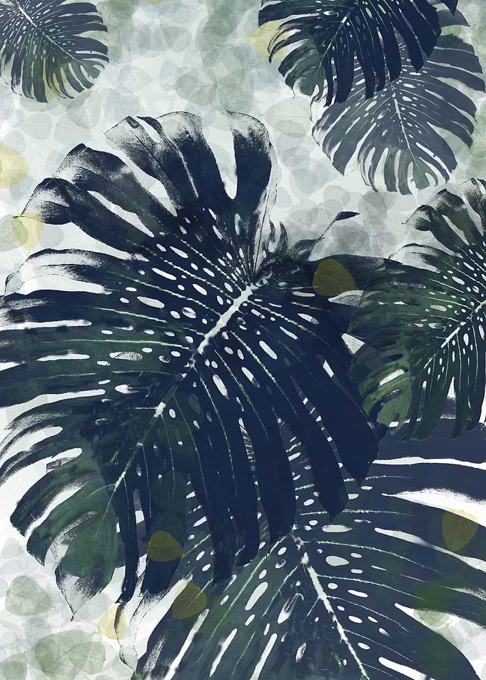 Monstera jungle
