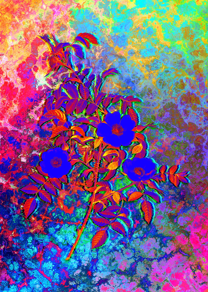 Neon Floral Illustration