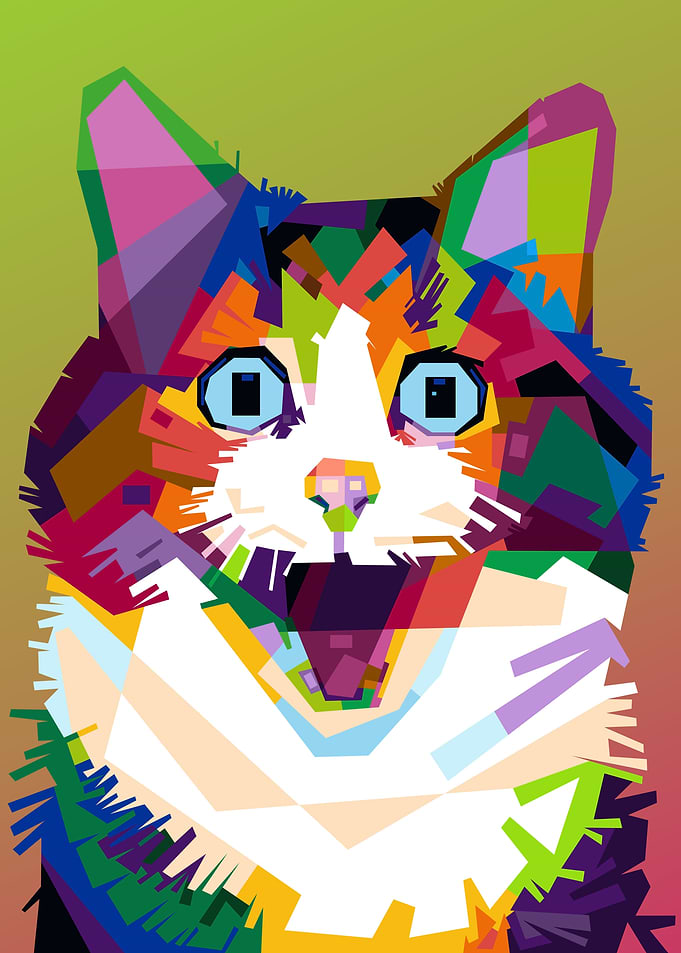 Suprised Cat