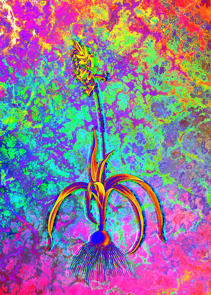 Neon Flower Illustration