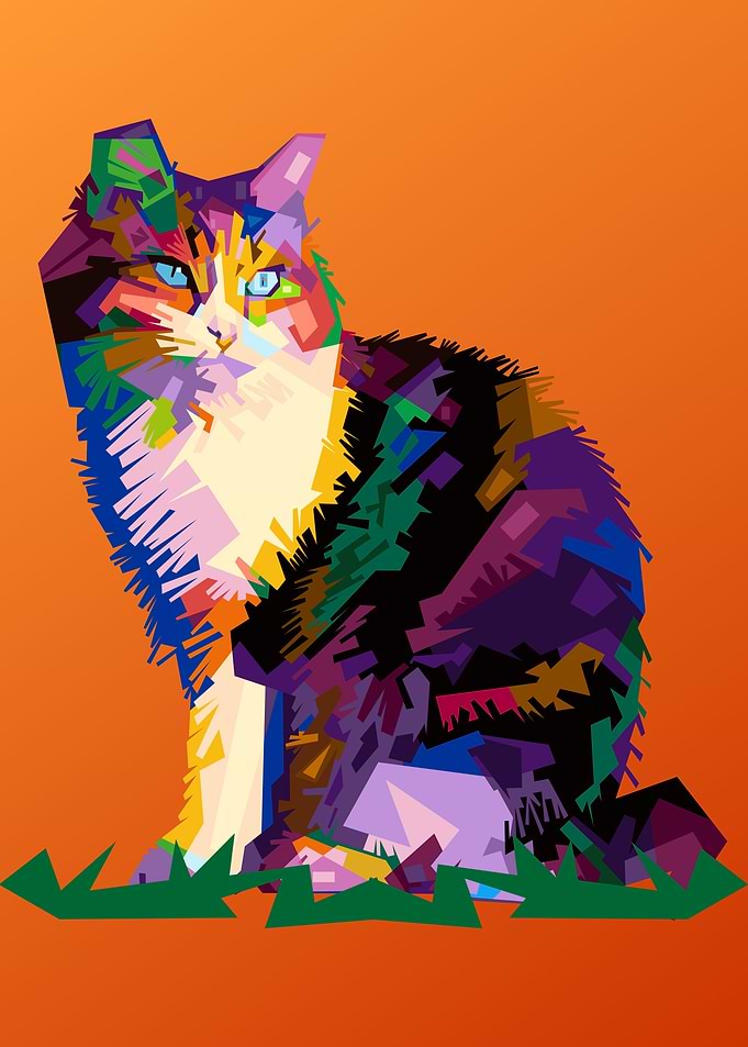The look of a Cat