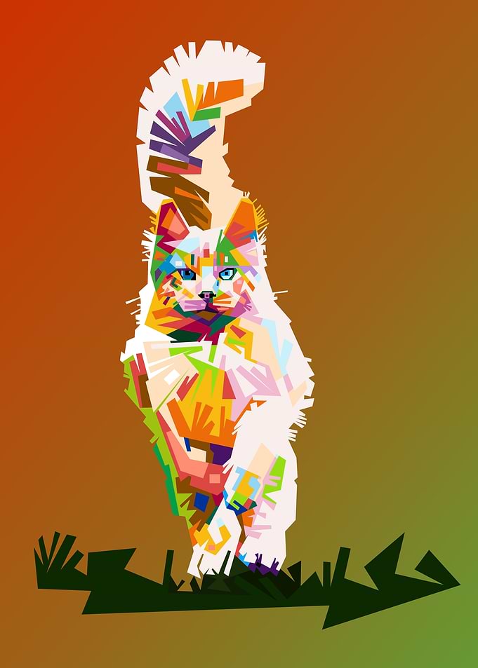 Beautiful Cat