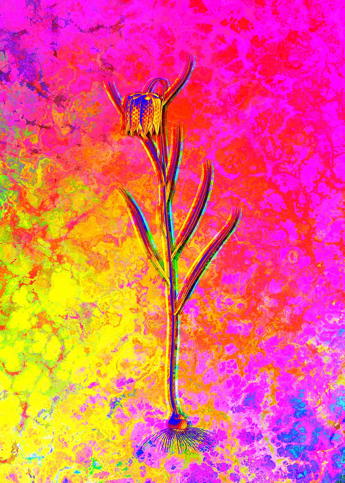 Red Botanical Illustration