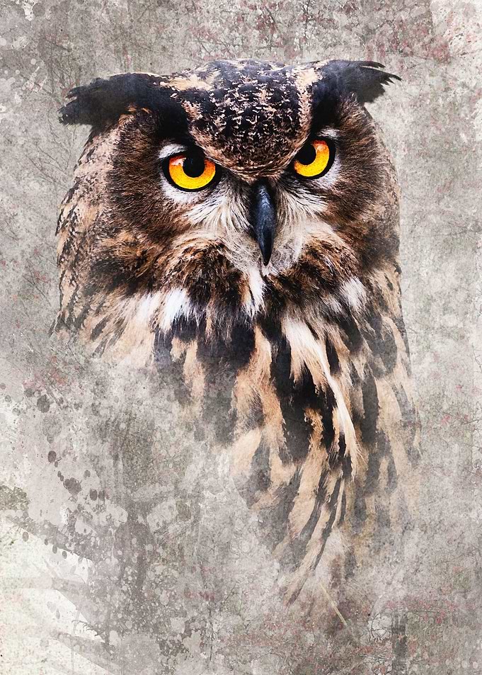 Watercolor Owl