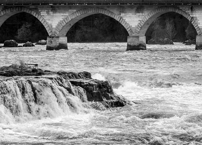 The Rhine Falls