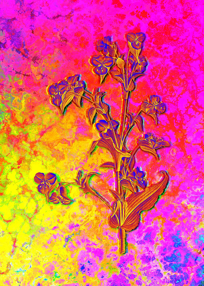 Red Botanical Illustration