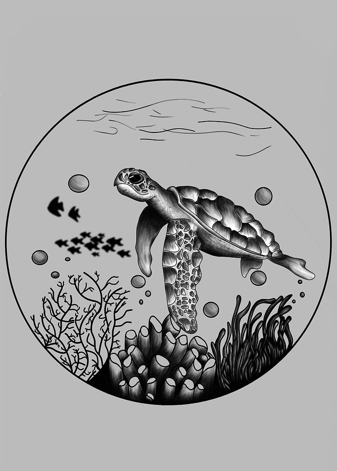 Turtle Bubble
