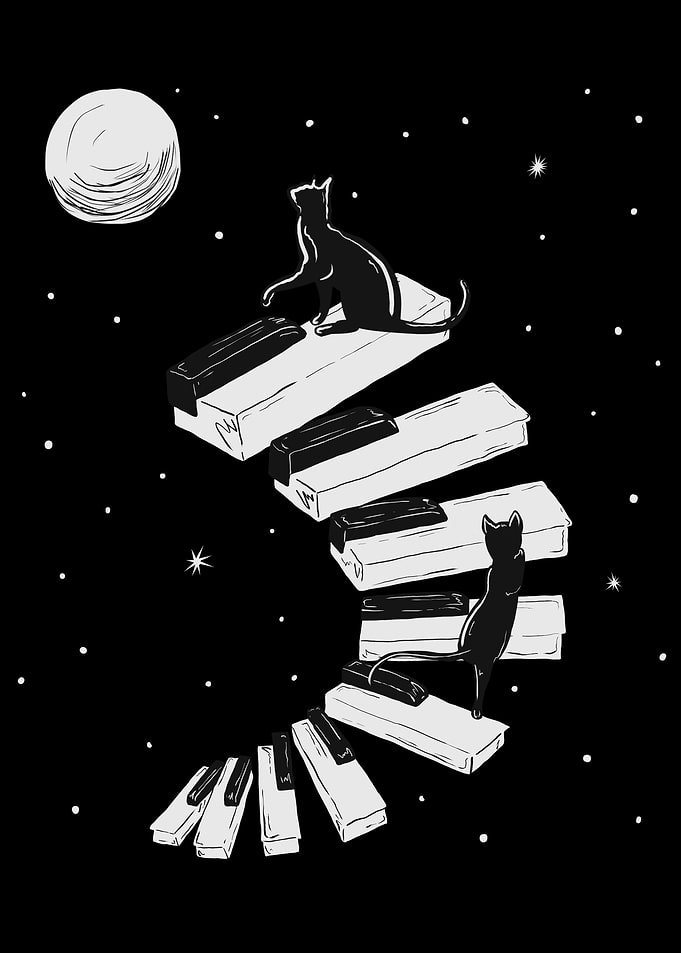 Piano and Cat