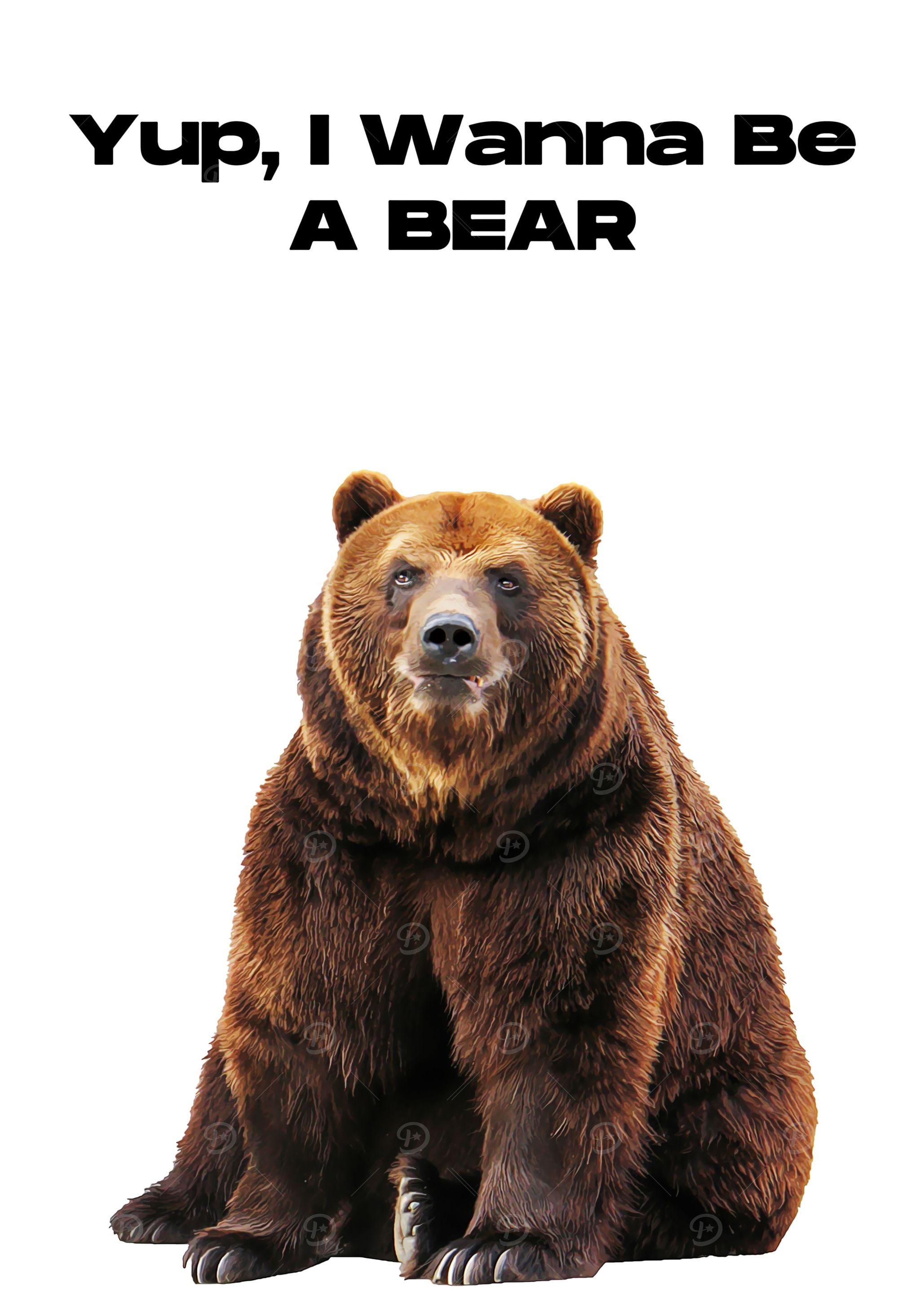 Bear Quotes