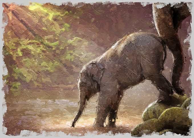 Elephant Drinking
