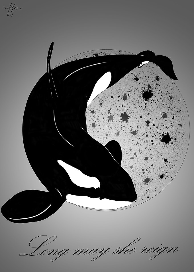 Kasatka Tribute
