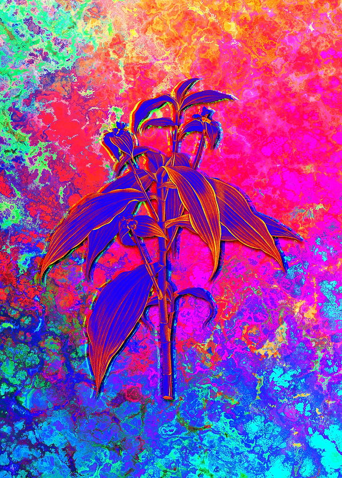 Red Botanical Illustration
