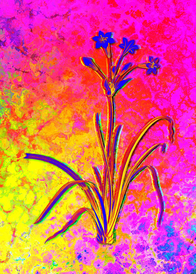 Neon Botanical Drawing