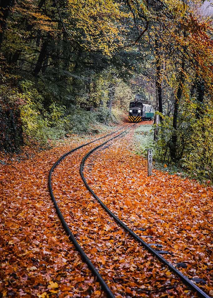 surrounded train rail