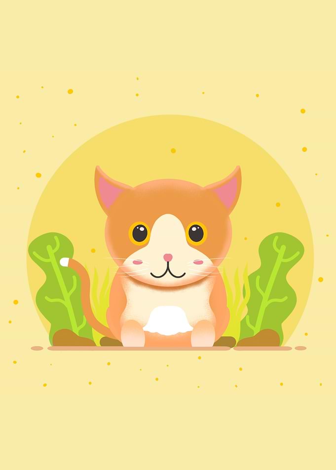 the cute cat
