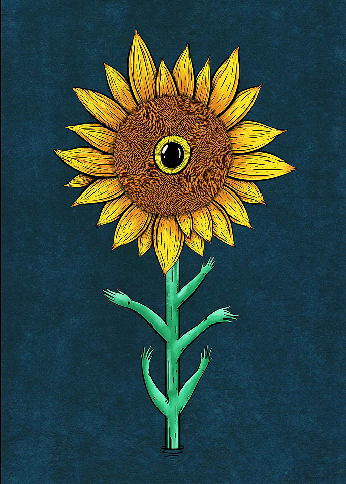 Sunflower