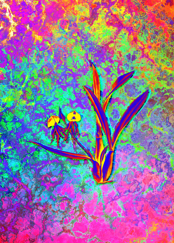 Red Botanical Illustration