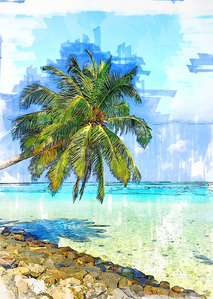 Coconut Tree Beach Maldive
