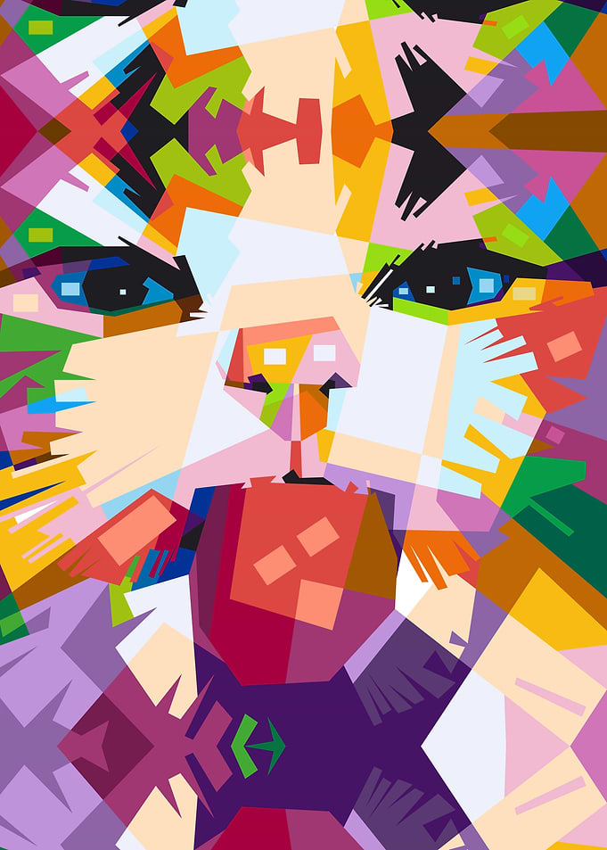 Full Face of a Cat
