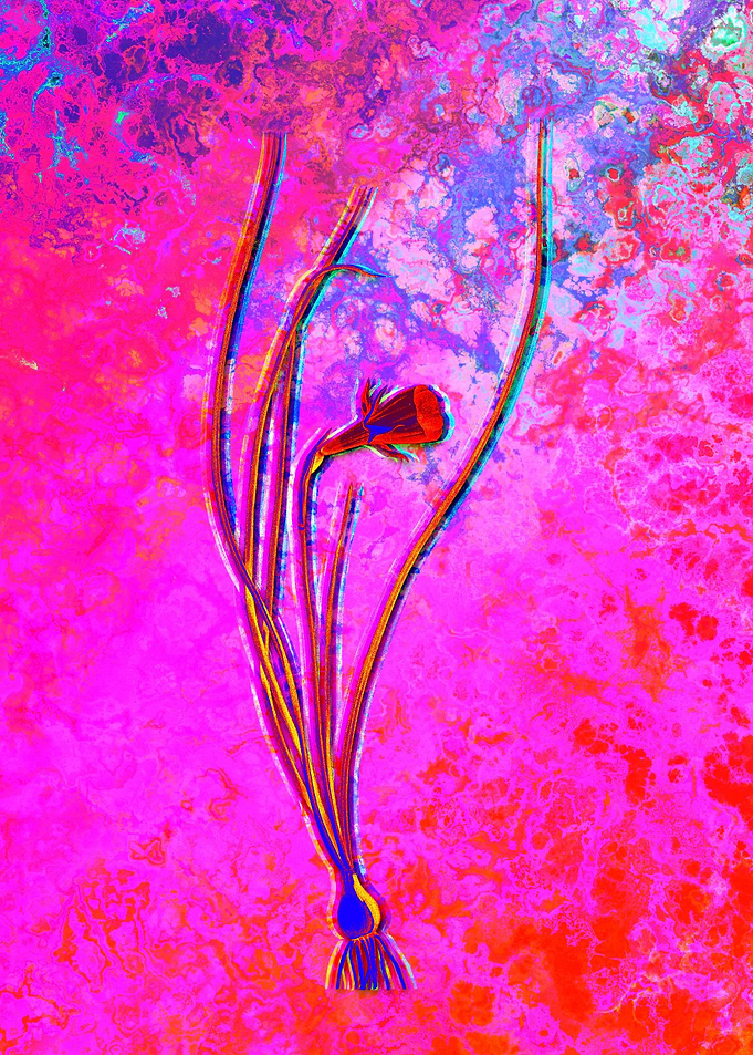 Neon Botanical Drawing