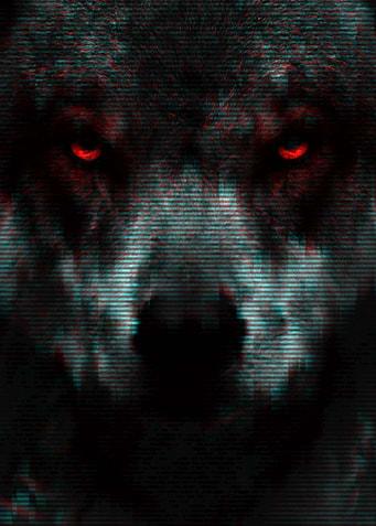 Error Wolf