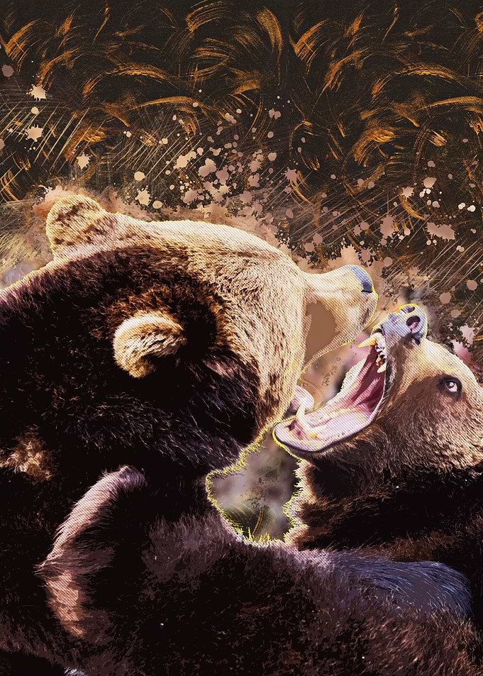 Grizzly Bear