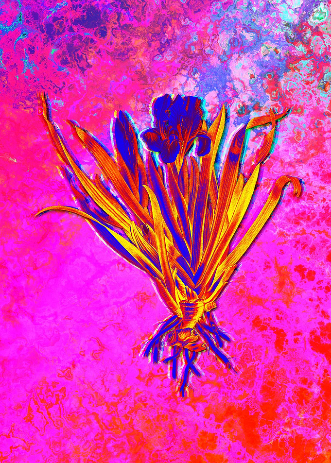 Neon Flower Illustration