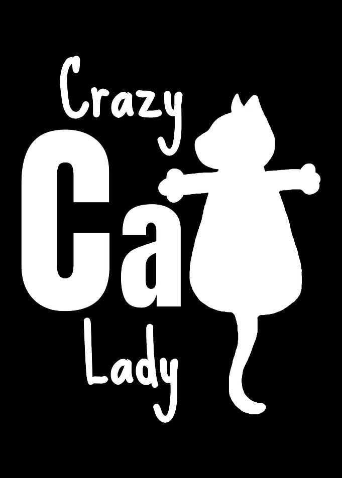 Crazy Cat Lady