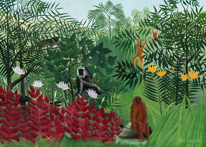 Tropical Forest with Monke