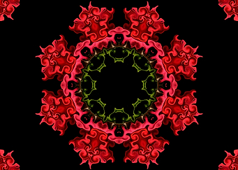 Distinctive Rose Petals