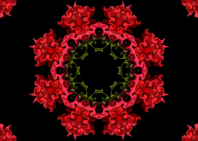 Distinctive Rose Petals