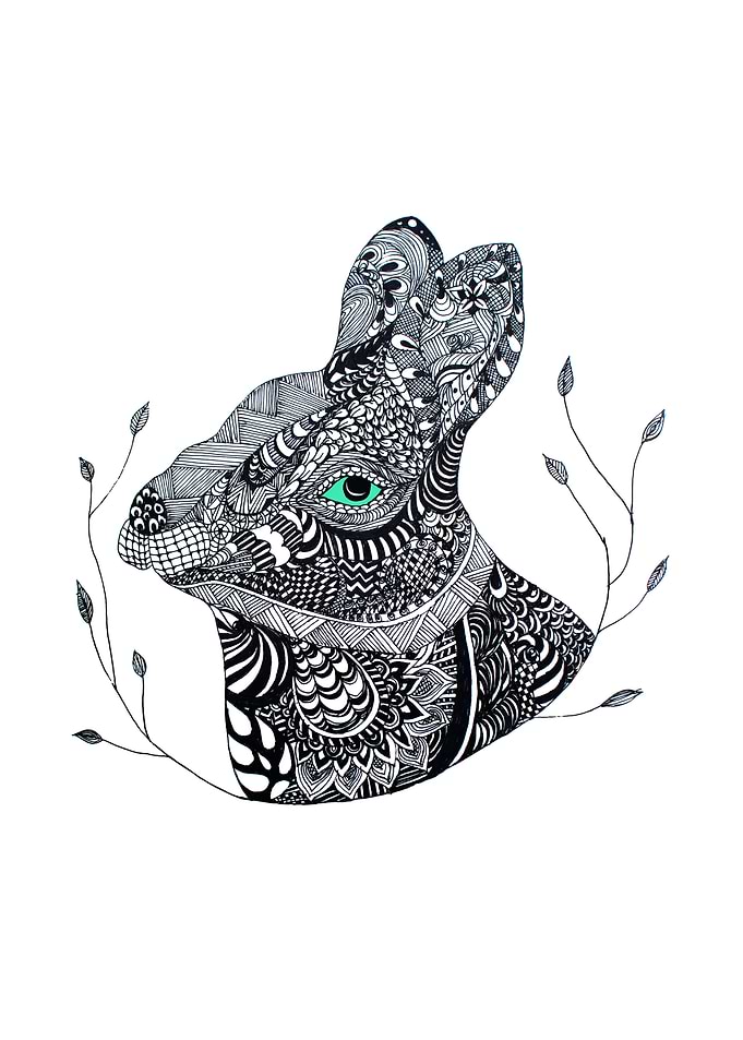 The Rabbit Jojo