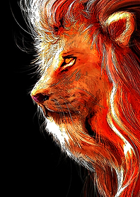 Animals 4