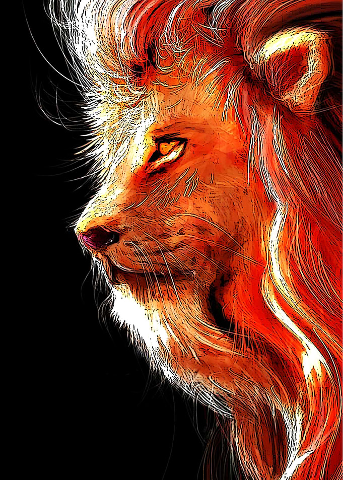 Animals 4