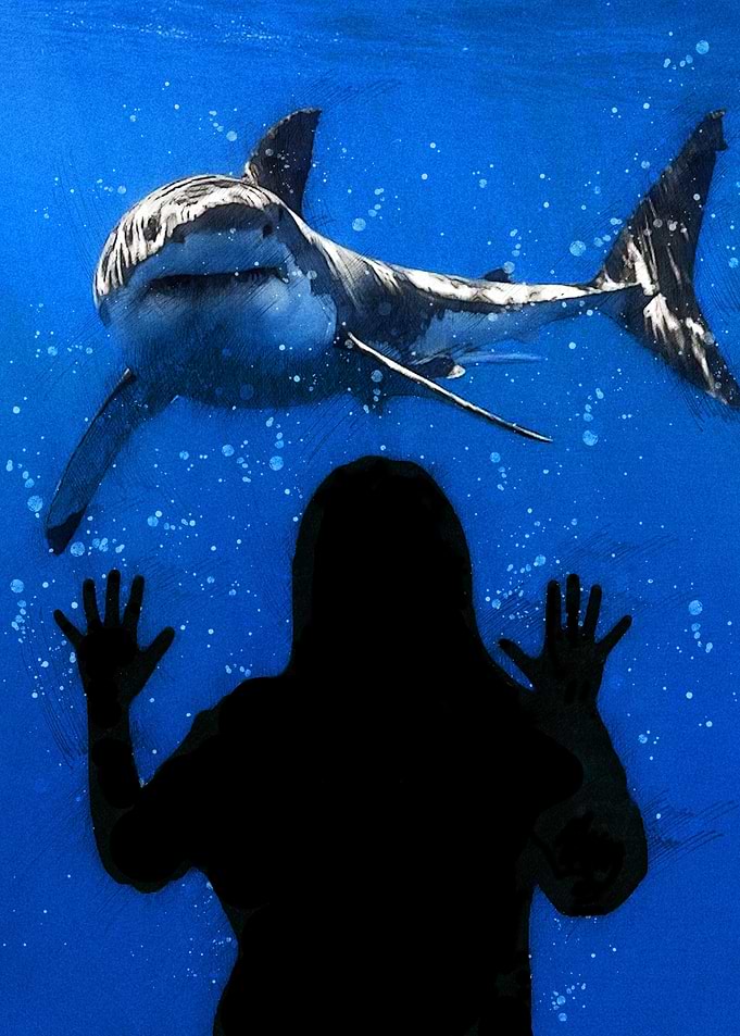 Shark