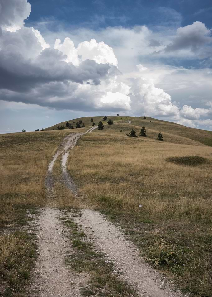 the Path