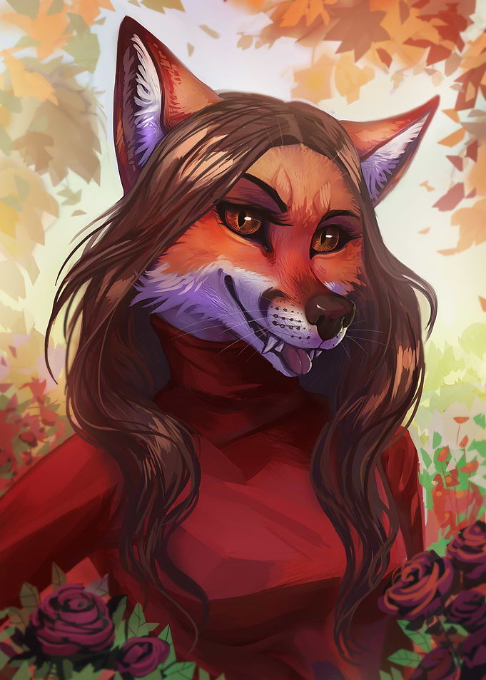 Cute fox