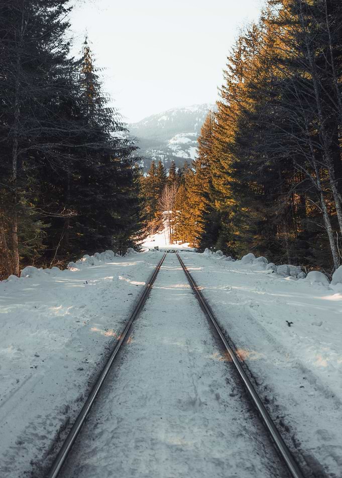 railroad sky leaves