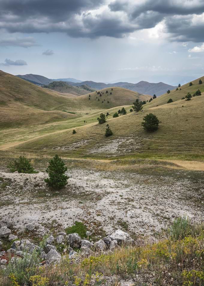 the Plateau