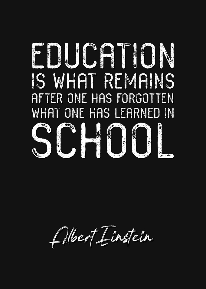 Albert Einstein Quote 11