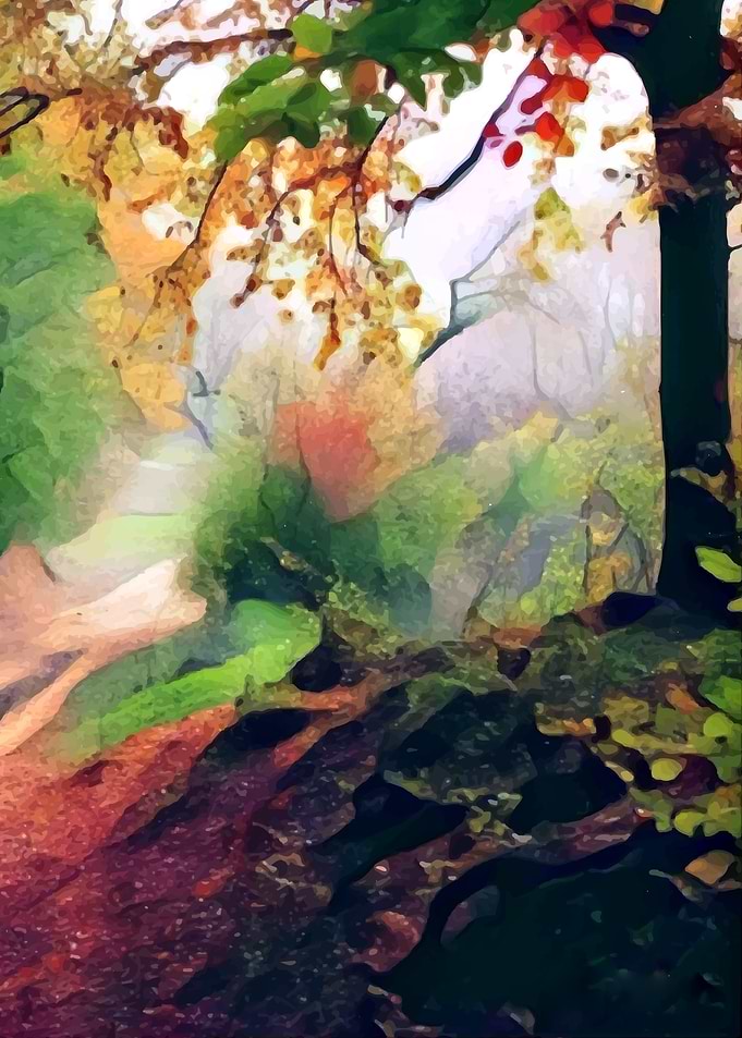 Colorful Path in Jungle