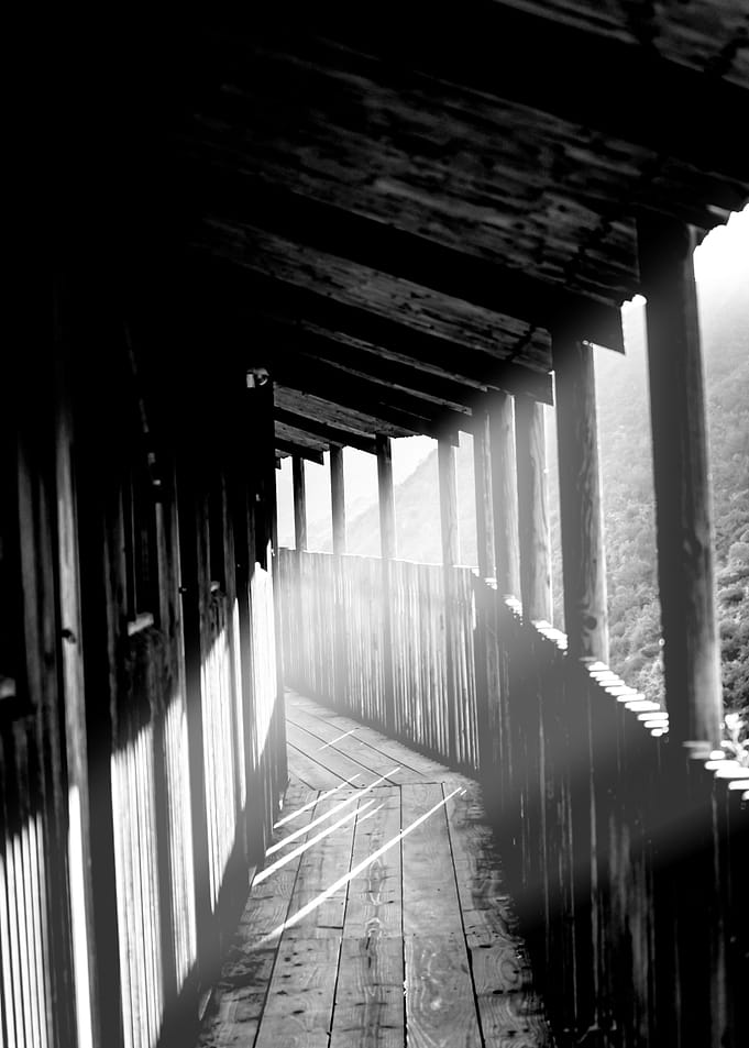 The passage