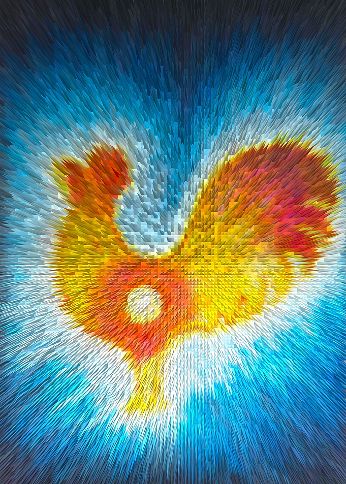rooster 1