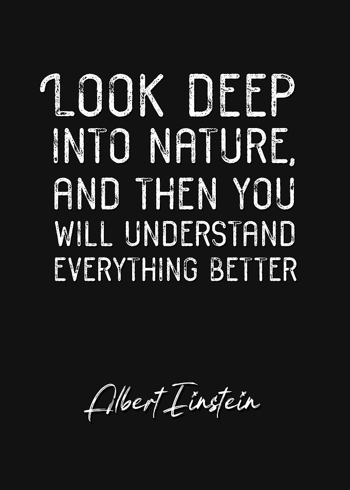 Albert Einstein Quote 1