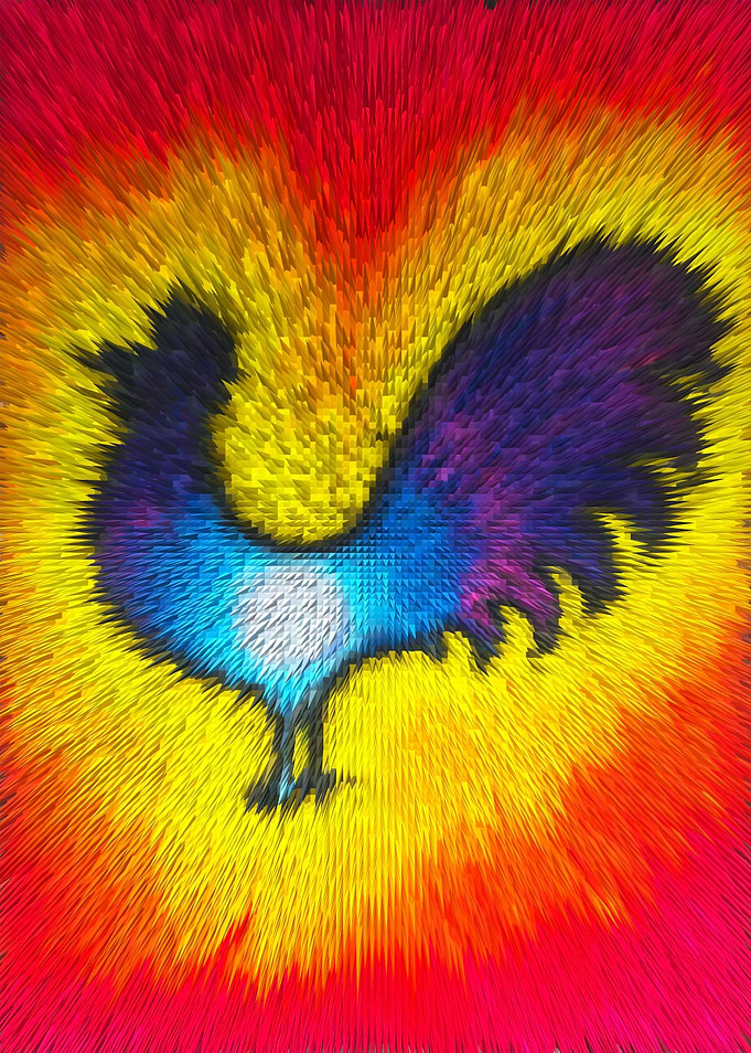 rooster 2