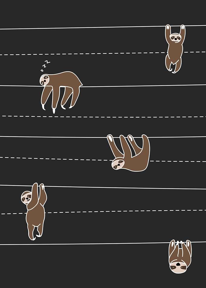 Funny Sloths Hanging Out